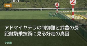 アドマイヤテラの制御難と武豊の長距離騎乗技術に見る好走の真因