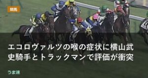 エコロヴァルツの喉の症状に横山武史騎手とトラックマンで評価が衝突 エコロヴァルツの喉の症状に横山武史騎手とトラックマンで評価が衝突