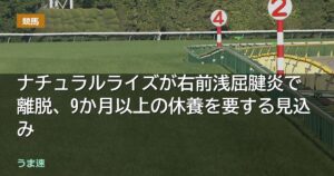 ナチュラルライズが右前浅屈腱炎で離脱、9か月以上の休養を要する見込み