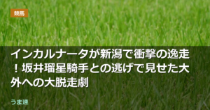 インカルナータが新潟で衝撃の逸走!坂井瑠星騎手との逃げで見せた大外への大脱走劇 インカルナータが新潟で衝撃の逸走!坂井瑠星騎手との逃げで見せた大外への大脱走劇