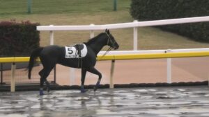 【競馬・エリ女】ルメール「レイパパレに2200mは長い」と明言