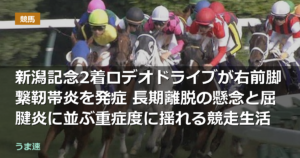新潟記念2着ロデオドライブが右前脚繋靭帯炎を発症 長期離脱の懸念と屈腱炎に並ぶ重症度に揺れる競走生活