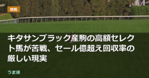 キタサンブラック産駒の高額セレクト馬が苦戦、セール億超え回収率の厳しい現実