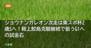 ショウナンガレオン次走は東スポ杯2歳Sへ！鞍上鮫島克駿継続で狙うG1への試金石