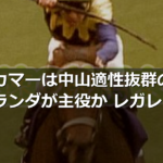 オールカマーは中山適性抜群のコスモキュランダが主役か レガレイラ等と激突