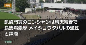 凱旋門賞のロンシャンは晴天続きで良馬場濃厚 メイショウタバルの適性と課題