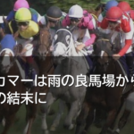オールカマーは雨の良馬場から一変、メイショウゲキリンが逃げ切る波乱の結末に