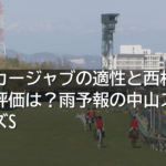 フリッカージャブの適性と西村淳也騎手の評価は？雨予報の中山スプリンターズS