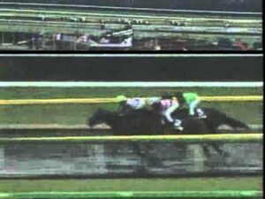 【競馬】ロジックのNHKマイル並にひどい実況教えて下さい
