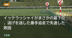イッテラッシャイがまさかの最下位、逃げを逃した番手追走で失速した敗因
