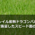 コントレイル産駒ドラゴンバルド鼻差2着で露呈したスピード面の課題