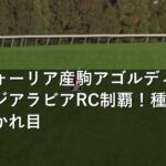 エフフォーリア産駒アゴルディーノがサウジアラビアRC制覇！種牡馬評価の分かれ目