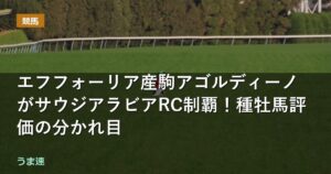エフフォーリア産駒アゴルディーノがサウジアラビアRC制覇！種牡馬評価の分かれ目