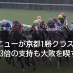 ラヴェニューが京都1勝クラスで完敗 単勝1.3倍の支持も大敗を喫す