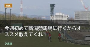 今週初めて新潟競馬場に行くからオススメ教えてくれ 今週初めて新潟競馬場に行くからオススメ教えてくれ