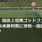 【悲報】園田２冠馬ゴッドフェンサー、中央未勝利馬に惨敗…園田の価値って？