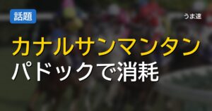 カナルサンマンタンとは何だったのか
