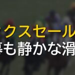 ノーザンファームミックスセール開幕、セレクトセールとの違いや購買層に注目集まる