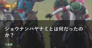 ショウナンハヤナミとは何だったのか？