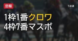 枠順確定で波紋 4枠7番マスカレードボールと1枠1番クロワデュノールの位置取り