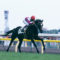 【競馬】スペシャルウィーク対オルフェーヴル
