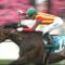 【競馬】10/30(日) 第166回天皇賞(秋)(GI) 枠順確定！