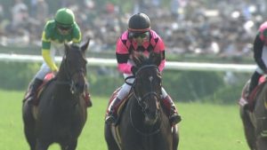 【競馬】スマートオーディンを着外に飛ばした騎手がいるらしい