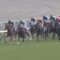 【競馬】メイショウグロッケ１分前単勝３０倍→レース後１７倍ｗｗｗｗｗｗｗｗｗｗｗｗｗｗｗｗｗｗｗｗ