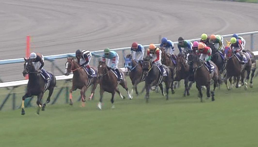 【競馬】冠名テソーロこと了徳寺さん　武井亮厩舎から全頭引き上げ　絶縁か