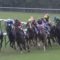 【競馬・皐月賞】悲報・・横山武史22歳、すでに前髪の密度がピンチ！