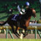 【競馬】改めて福永祐一さんの八大競走勝利数をご覧ください