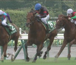【競馬】アルバートドックが引退!イタリアで種馬にw 【競馬】アルバートドックが引退!イタリアで種馬にw