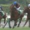 【競馬】問答無用でNo.1戸崎はアンカツ&ペリエを超えてる！！