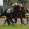 【競馬】川崎の瀧川寿希也騎手　競馬の信用を失墜させたため騎乗停止