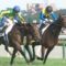 【競馬】川田ってなんでリーディングとれんの？