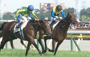 【競馬】サトノダイヤモンドってまともなローテだったら、二冠とれてたんじゃないの? 【競馬】サトノダイヤモンドってまともなローテだったら、二冠とれてたんじゃないの?