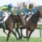 【競馬】サトノダイヤモンドってまともなローテだったら、二冠とれてたんじゃないの？