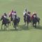 【競馬】２歳馬オヌシナニモノが坂路で猛時計ｗｗｗｗｗｗｗｗｗ