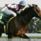 【競馬・中山記念】シュネルマイスター終了のお知らせ