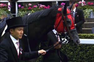 【競馬】エイシンヒカリって本当に弱かったの? 【競馬】エイシンヒカリって本当に弱かったの?