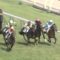 【競馬】矢作調教師「凱旋門賞を勝つには逃げ切るしかない、逃げ馬を連れて行く」「勝ったら死んでもいい」