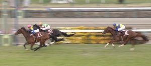 【競馬/弥生賞】マカヒキ化け物すぎワロタｗｗｗｗｗｗ 三強対決制していざ皐月賞へ！