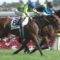 【競馬】今年の三歳最強説が崩れてきてしまった