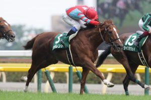 【競馬】クラレント屈腱炎発症で引退決定