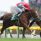 【競馬】クラレント屈腱炎発症で引退決定