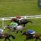 【競馬】逃走エイシンヒカリ、凱旋門賞登録見送りw