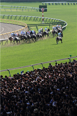 【競馬】横山典さんの日本ダービーでの騎乗が美浦の調教師会で取り沙汰されてる