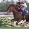 【競馬/有馬記念】カレンミロティック買えるよな？
