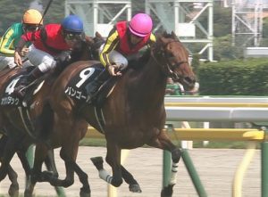 【競馬】ルメール土日10勝キタ━━━━(゚∀゚)━━━━ !!!!! 【競馬】ルメール土日10勝キタ━━━━(゚∀゚)━━━━ !!!!!