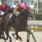 【競馬】ルメール土日10勝ｷﾀ━━━━(ﾟ∀ﾟ)━━━━ !!!!!